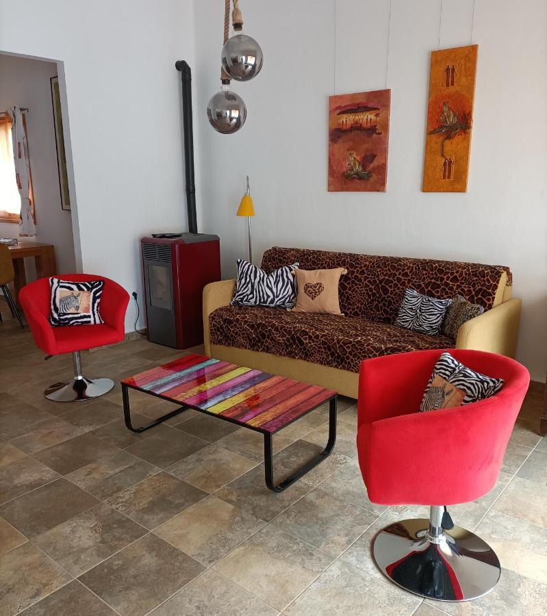 Schoene Wohnung In Puerto De La Cruz Mit Garten. Luaran gambar